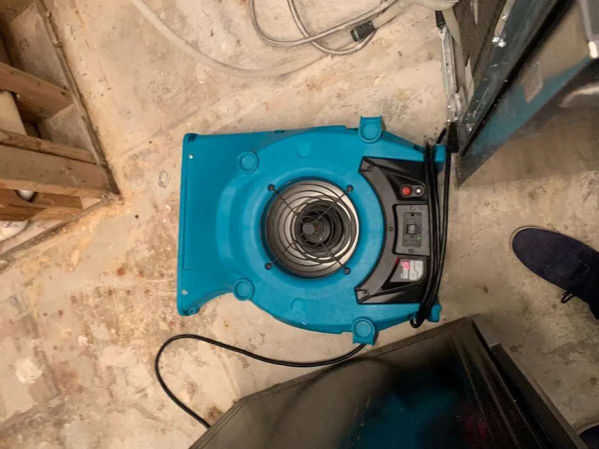 Air mover drying equipment for Mold Remediation & Removal in Coral Gables